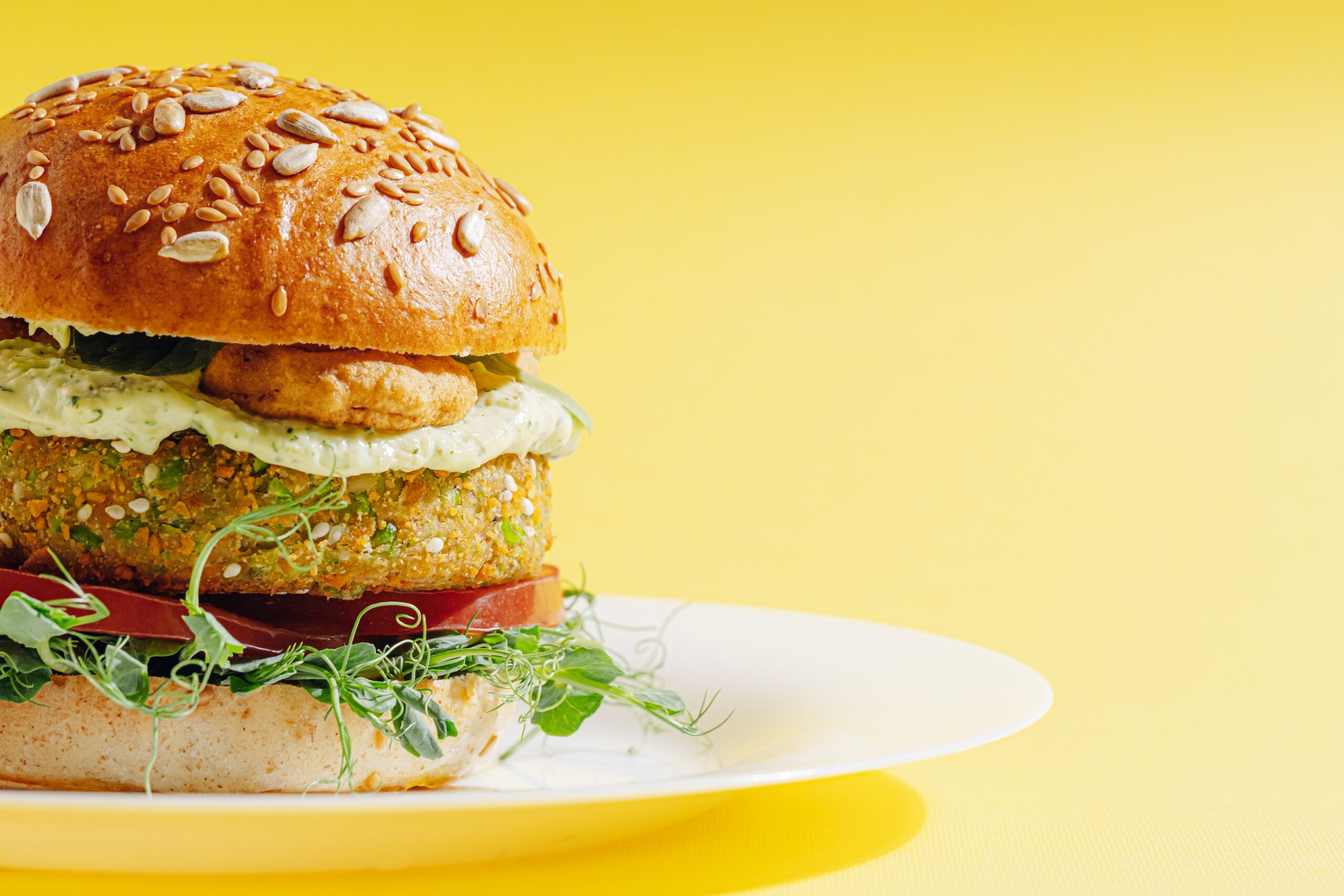 plant based hamburguer